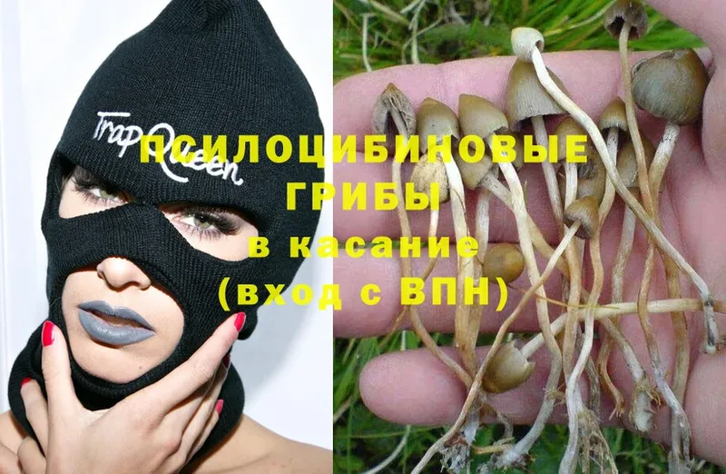 цены наркотик  МЕГА как зайти  Галлюциногенные грибы Psilocybe  Красноуфимск 